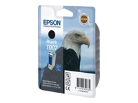 Epson
C13T00740110
Ink Cart/black 540sh f Stylus P870