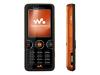 Sony Ericsson W610i Walkman - Cellular phone with digital camera / digital player / FM radio - GSM - plush orange