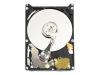 WD Scorpio Blue WD3200BEVE - Hard drive - 320 GB - internal - 2.5